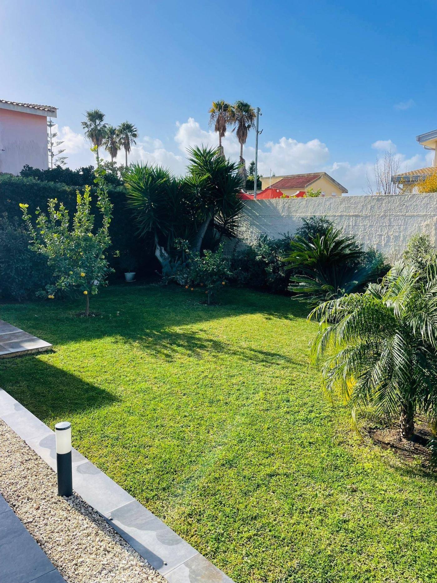 Private swimming pool with sun loungers and palm shade